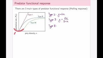 Math 111, lecture 5.3: modelling predator-prey dynamics