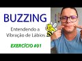 Buzzing: Entendendo a Vibração de Lábios - Exercício 01 -