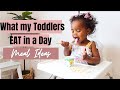 WHAT MY TODDLERS EAT IN A DAY | WHAT WE EAT IN A DAY FOR PICKY EATERS | CRISSY MARIE