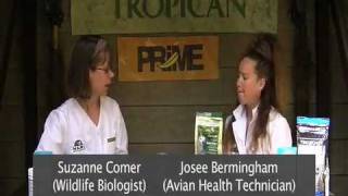 TROPICAN: Diet Recommendations (part 1 of 15)