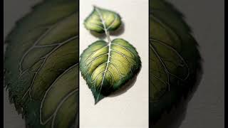 AI ASMR – Magic Leaves Pen Drawing