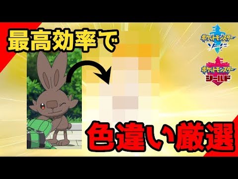 ポケモン剣盾 最高効率で色違いヒバニーを厳選していた3 12 にいた男 ソードシールド実況 Youtube