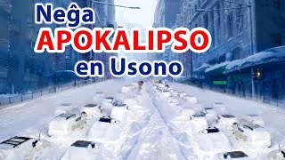LA NEĜA APOKALIPSO En Nordameriko! Kie estas la vintro en eŭropo? Inundoj En Mezoriento