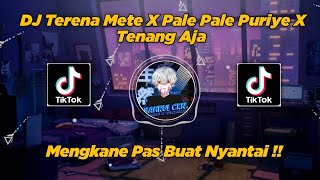 DJ Terena Mete X Pale Pale Puriye X Tenang Aja, Viral TikTok!! By Sahrul Ckn