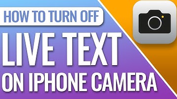 How To Turn Off Live Text On iPhone