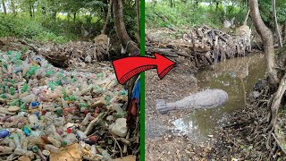 Čistenie vyschnutej rieky - našli sme na dne bombu ! (RIVER CLEANUP)