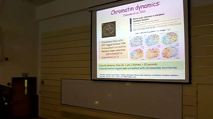 Alexander Grosberg: Nuclear chromodynamics: statistical physics and     cell nucleus