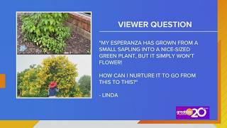 Great Day Gardening Show: Q&A Part 1