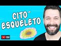 CITOESQUELETO - CITOLOGIA | Biologia com Samuel Cunha