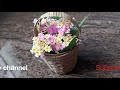 Flower basket/#artoutofwaste/DIY flower basket