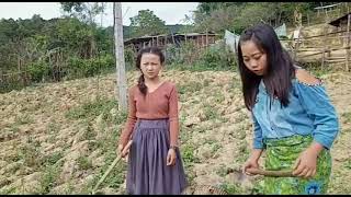 Paj Nag Thiab Maiv Nkawv Sib Pauv Zog Mu Ua Teb Funny