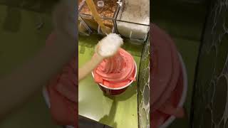 Vegan Paradise Fruit Punch