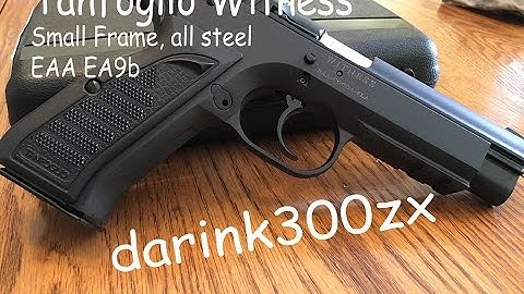 Cover Image for Tanfoglio Witness steel, small frame, EA9B EAA import