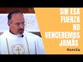 Homilía: "Sin esa fuerza no venceremos jamás"