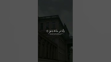 سورة عبس  ||حالات واتس قرآن || تلاوة #ياسر_الدوسري