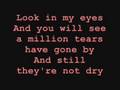 If Only Tears Could Bring You Back - lyrics