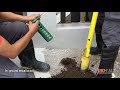 Ridem home renovation  termite control