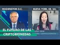 Cul es el futuro de las criptomonedas laura shin nos responde