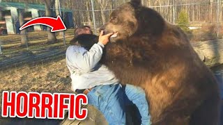 The Most Terrifying Bear Attacks of 2023 I Marathon