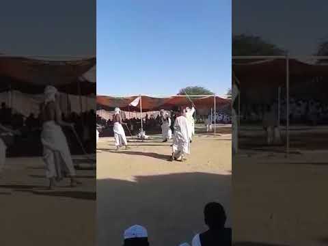 قيقم العكد الدامر ناسي نهر النيل ست ريدي