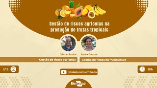 Gestão de riscos agrícolas na produção de frutas tropicais