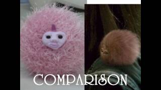 Arnold The Pygmy Puff
