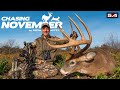 A Surprise Booner | Giant Buck At 10 Yards | Chasing November