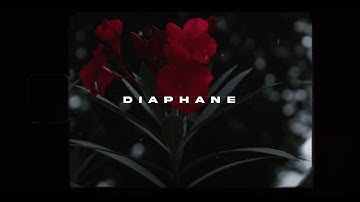 Diaphane - Remember Me (Visualizer)