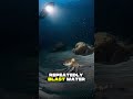 This Animal Is Smarter Than You Think