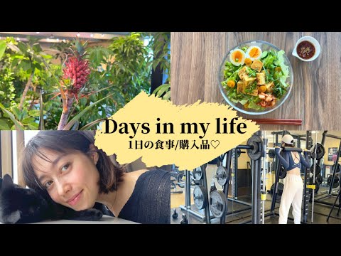 【vlog】Days in my life🥣💕1日の食事/ビオセボン購入品/トレーニング