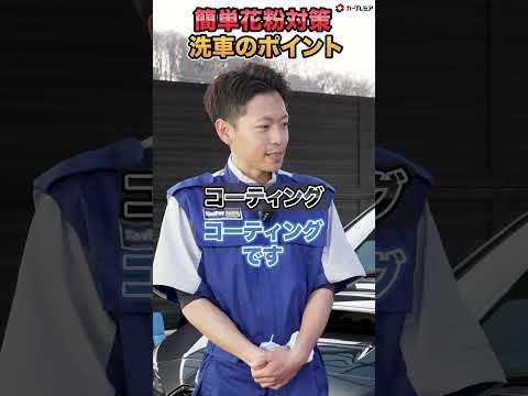【花粉ムリ！】擦るな危険！プロが教える自宅でカンタン洗車テクニック！　#shorts  #洗車 #中古車