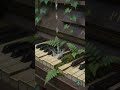 Cozy Overgrown Greenhouse Rain ASMR: Deep Echo #sleepsounds #natureasmr #deepsleep #rainambience
