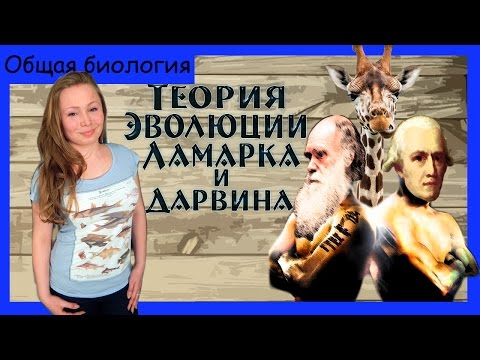 Теория эволюции Ламарка и Дарвина (сравнение).