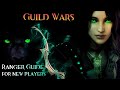 Guild wars profession guide 2  ranger for new  returning players