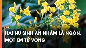 Hai nữ sinh ăn nhầm lá ngón, một em t.ử v.o.n.g
