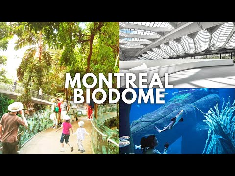 Video: Monreālas biosfēra - Bakminsteras Fullera ģeodēziskais kupols