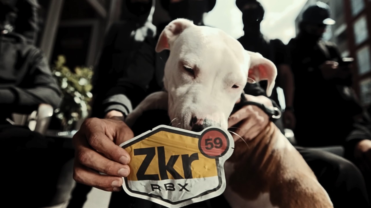 Zkr - Carton Jaune (2026)