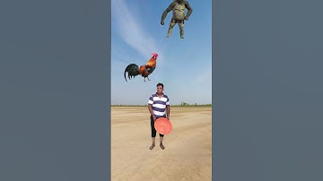 Cute Crying babies catching vs dancing Red gorilla& yellow chipkli - Funny magic vfx video