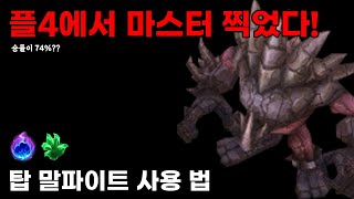 플4에서 마스터찍은 탑 말파이트