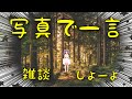 【雑談♪】写真でボケて?一発ネタ大会【笑い】