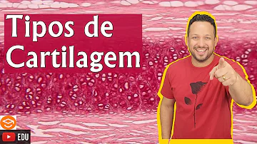 Onde se encontra o tecido conjuntivo cartilaginoso?