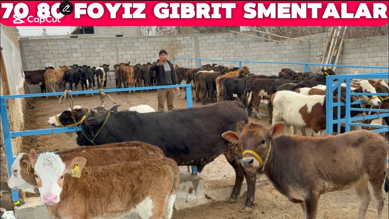 👁️AKA UKALARDQN KATQ PARTYA BUQALAR VA HUNAJINLAR SMENTAL VA BOSHQA TURDAGLAR 2026_01_03_mart.