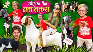 CHOTU KA BADA BAKRA | छोटू का बड़ा बकरा | KHANDESH HINDI COMEDY | CHOTU DADA NEW COMEDY VIDEO