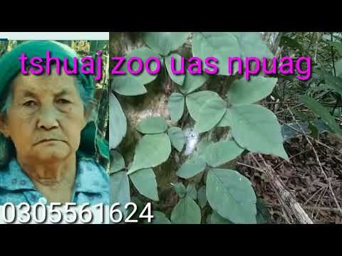 Video: 7 Tshuaj Ntsuab Zoo Rau Tshuaj Yej Uas Muaj Ntxhiab