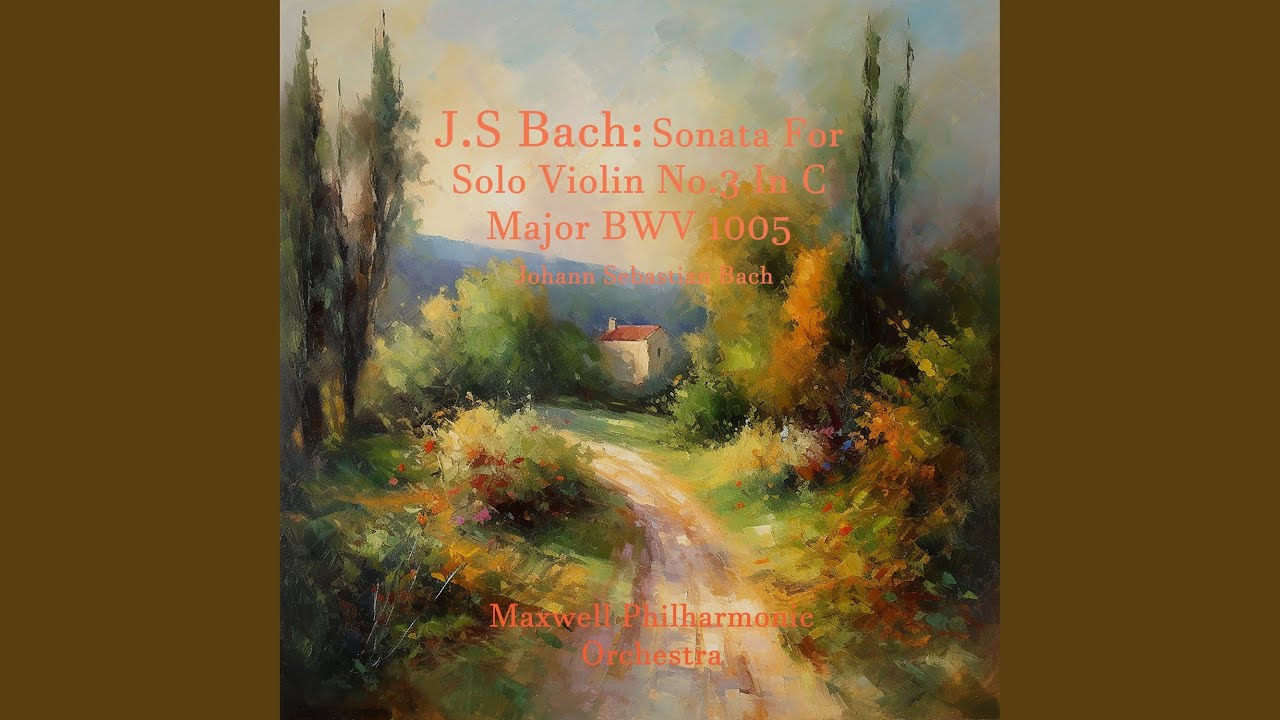 Sonata For Solo Violin No.3 In C Major BWV 1005: III. Largo - YouTube