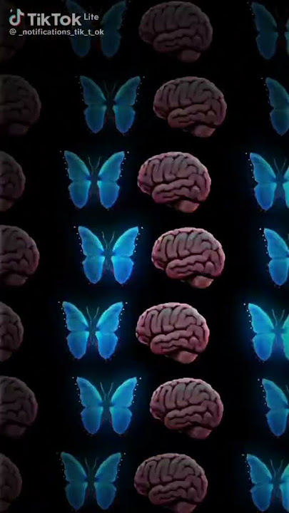 صحاب كيتمان 💔💀 قلبي كي نديرله 😫🔥#rial #اغاني راي#اغاني