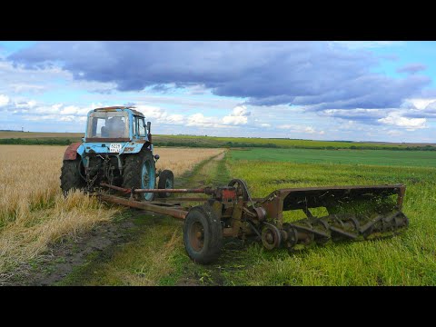 Смотреть онлайн Селка ламает
