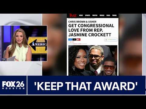Chris Brown, Texas politicians respond to concert backlash