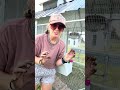 Planting flowers in the @ChickChickCoop