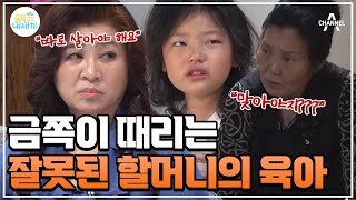 [#클립배송] 거절적이고 공격적이다!? 오 박사도 따로 살라고 말하는 할머니의 잘못된 육아 #오은영 #금쪽같은내새끼 | 금쪽같은 내새끼 183회